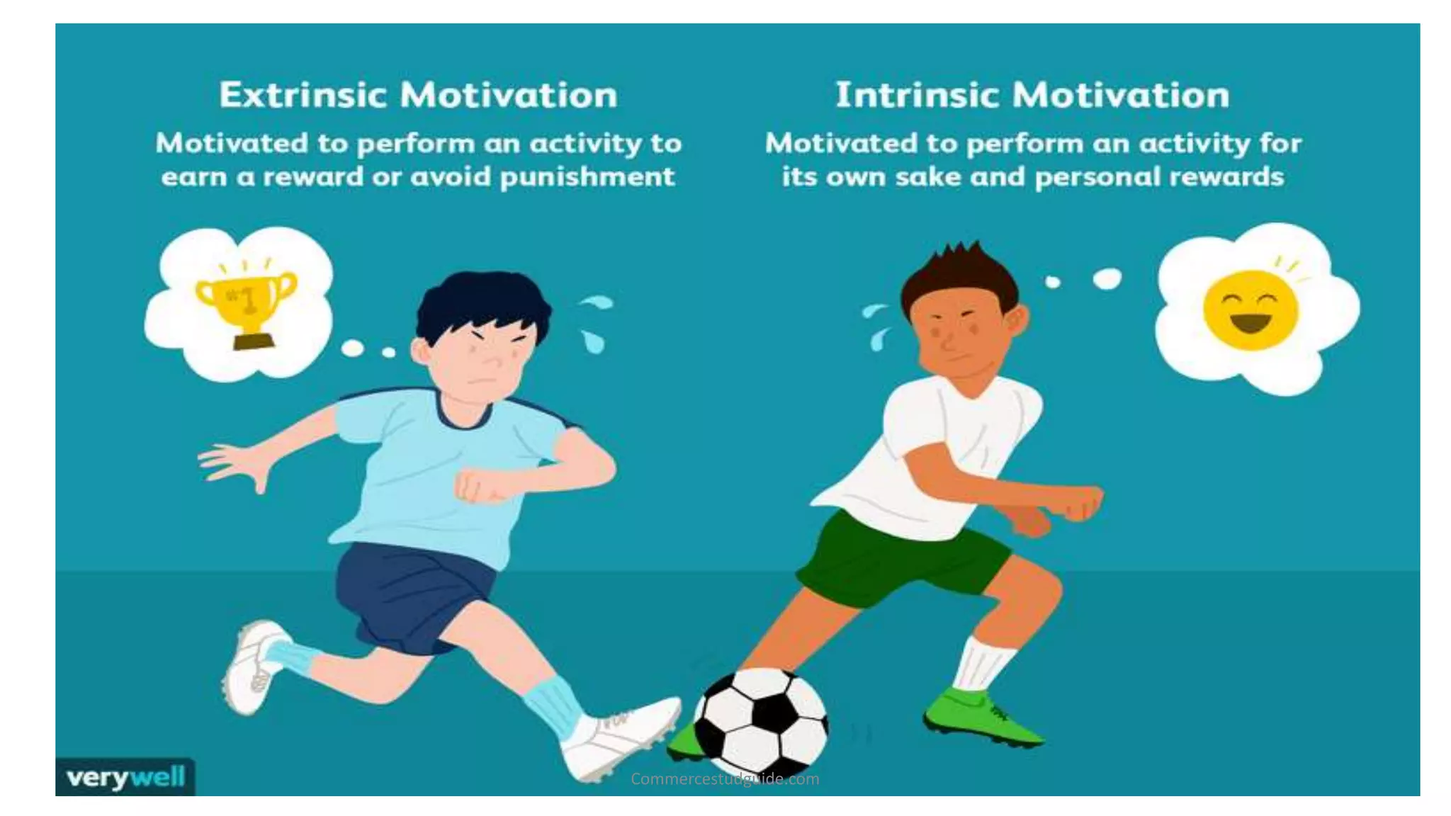 Commercestudguide.com
 