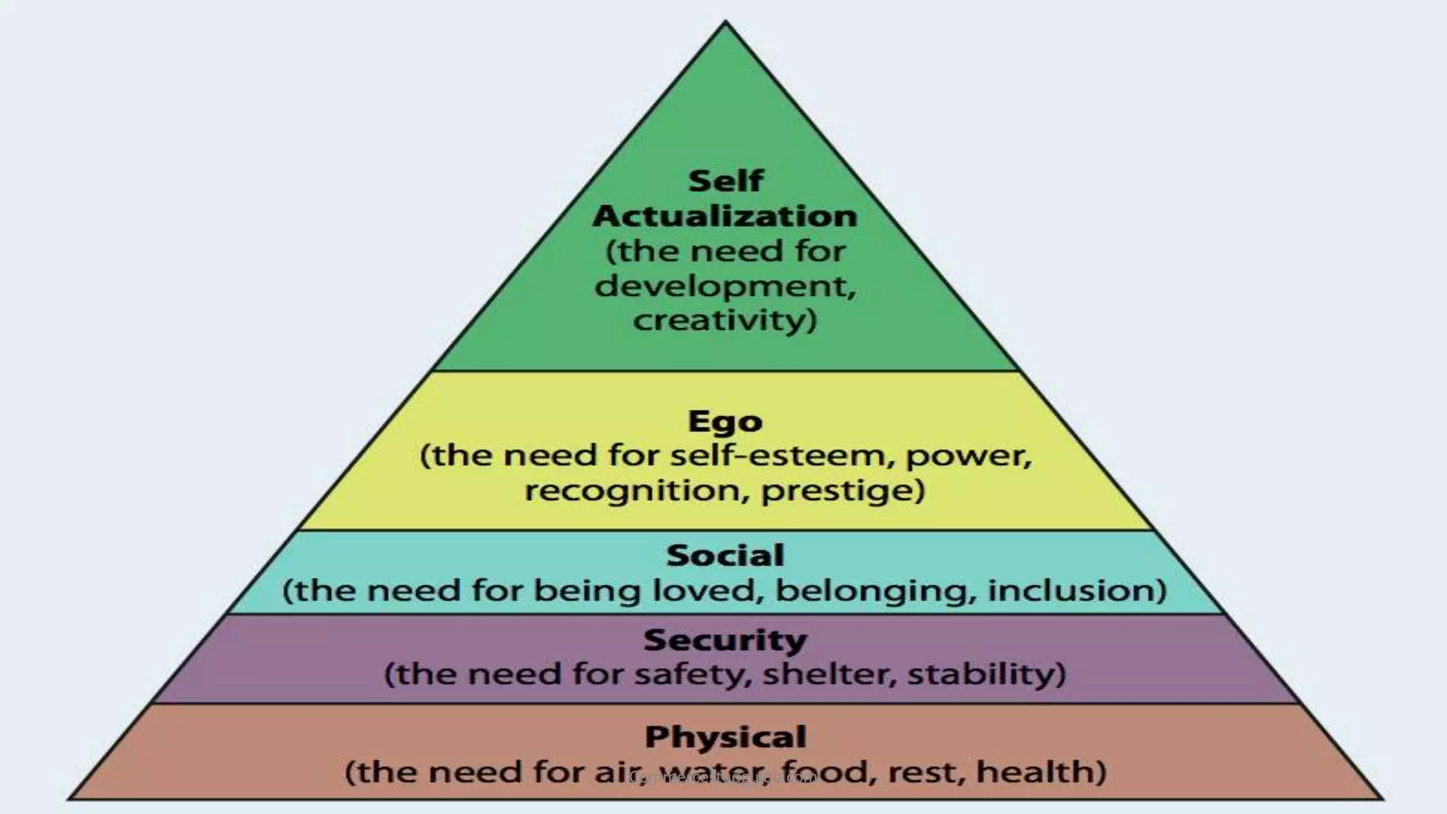 Commercestudguide.com
 