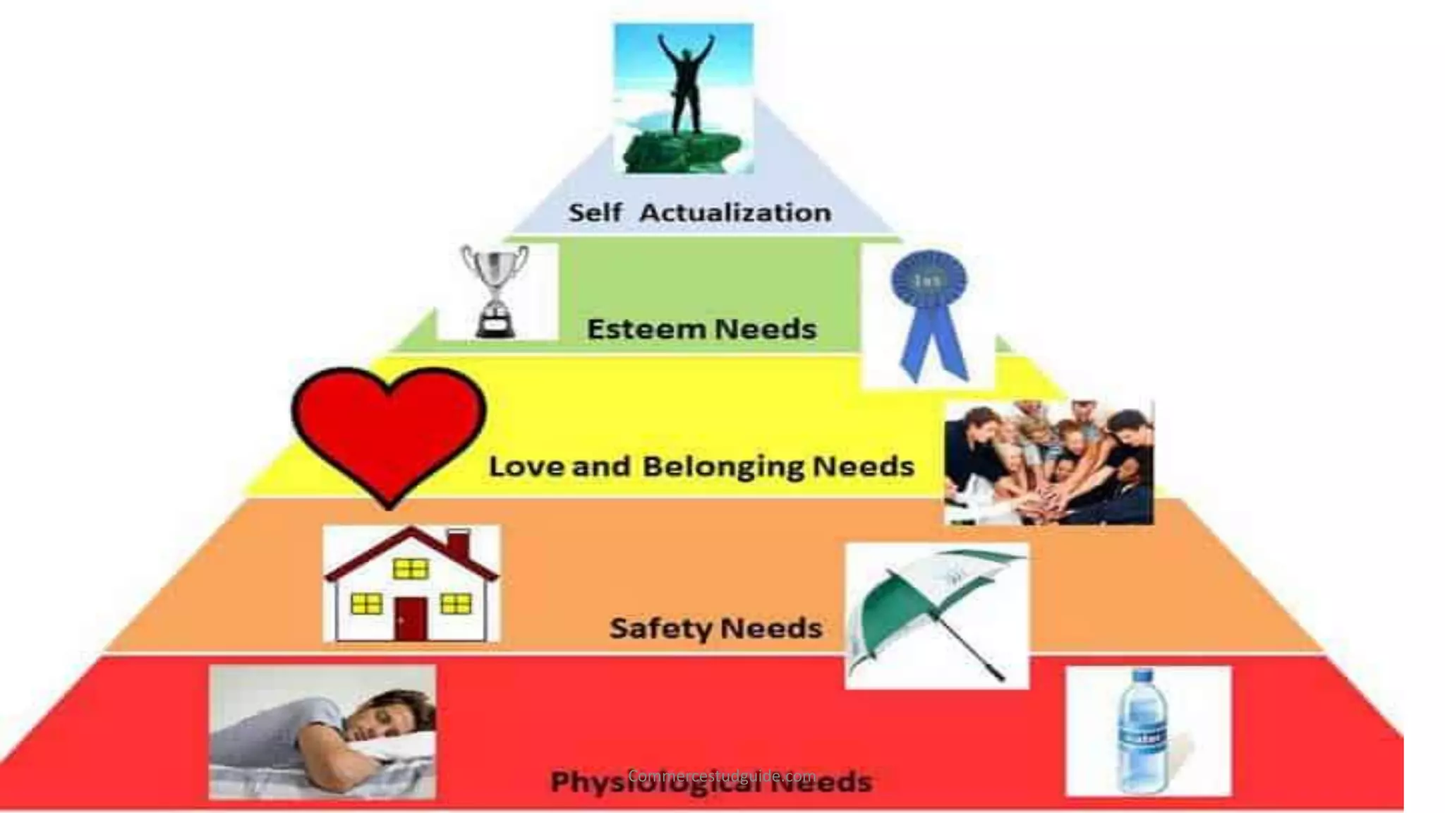 Commercestudguide.com
 