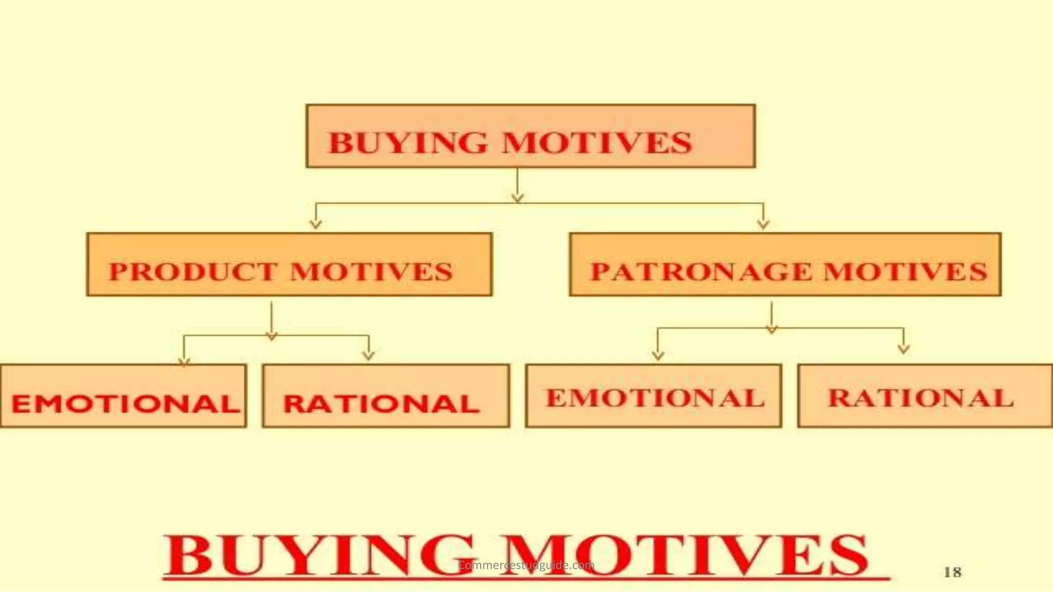 Commercestudguide.com
 