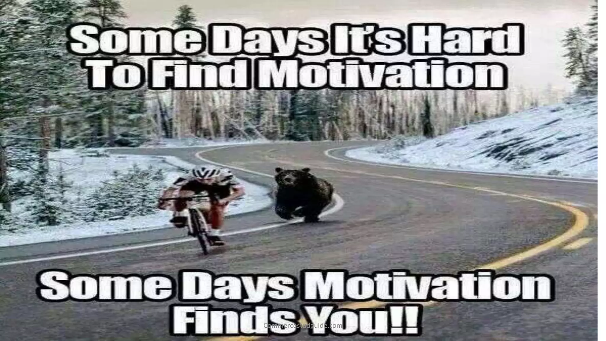 Commercestudguide.com
 