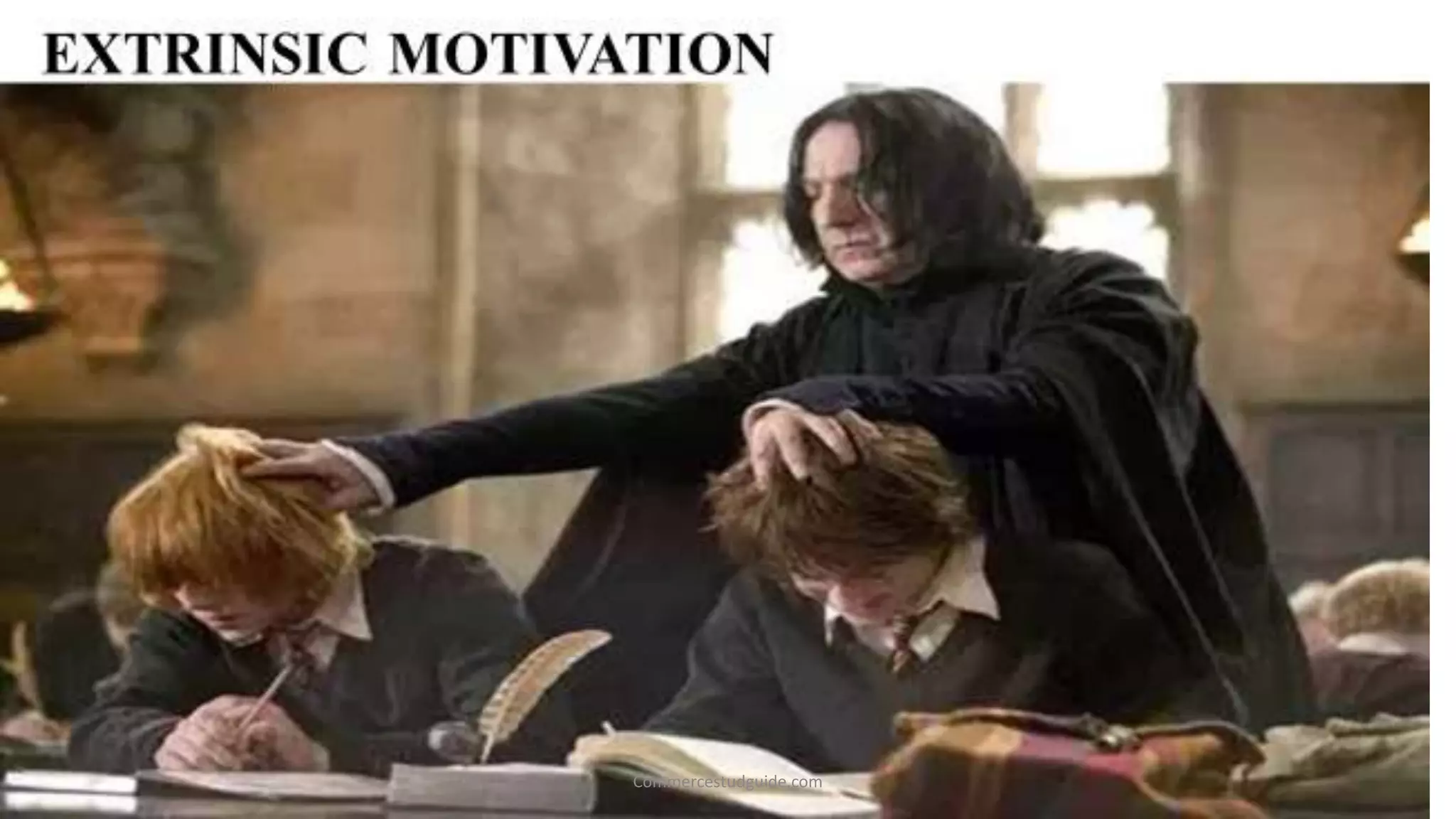 Commercestudguide.com
 