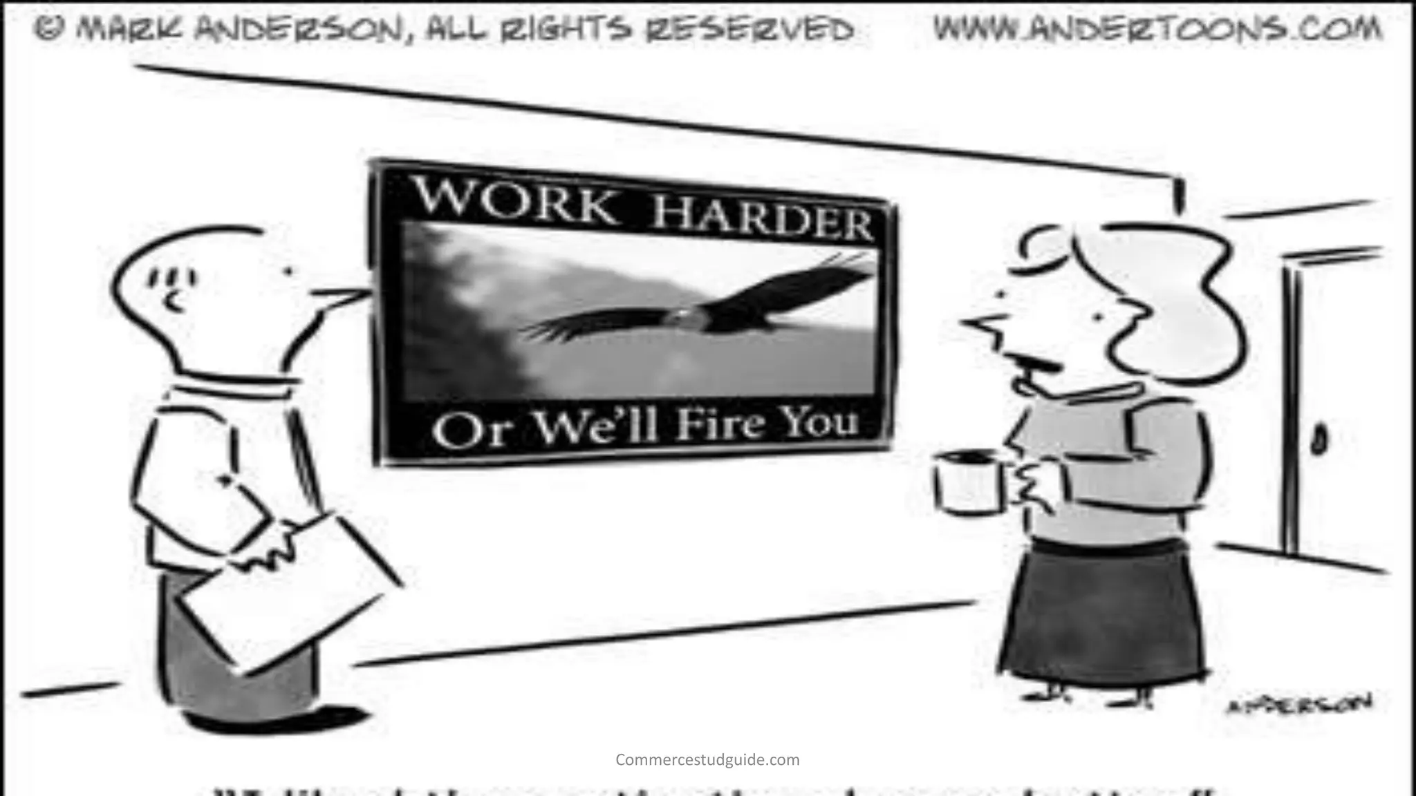 Commercestudguide.com
 