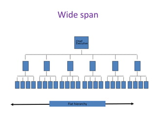 Wide span
Chief
Executive
Flat hierarchy
 