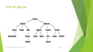 Tree of species
3/5/2022
VELAMMAL ENGINEERING COLLEGE, Dept. of CSE 21
 