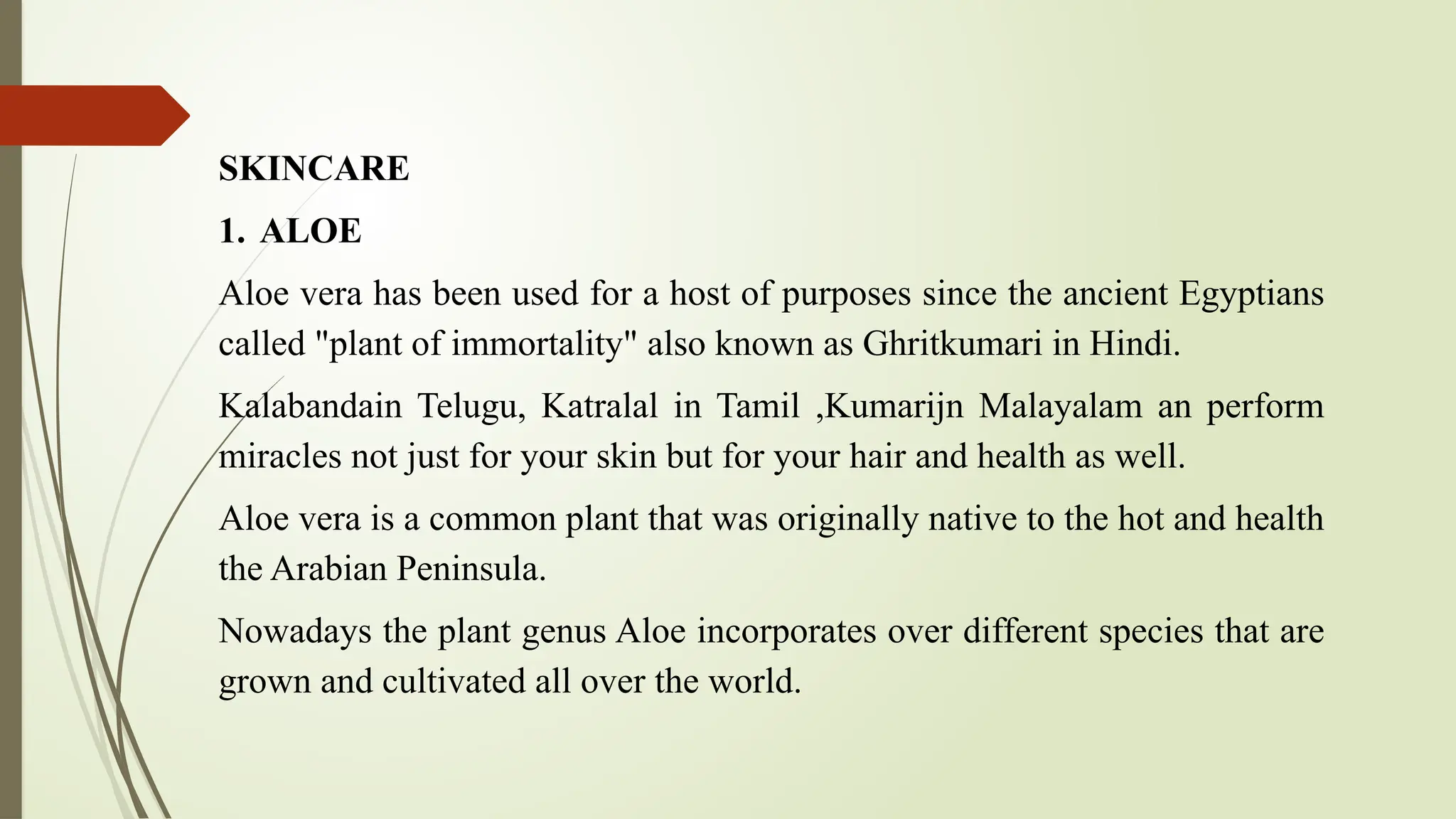 SKINCARE
1. ALOE
Aloe vera has been used for a host of purposes since the ancient Egyptians
called "plant of immortality" also known as Ghritkumari in Hindi.
Kalabandain Telugu, Katralal in Tamil ,Kumarijn Malayalam an perform
miracles not just for your skin but for your hair and health as well.
Aloe vera is a common plant that was originally native to the hot and health
the Arabian Peninsula.
Nowadays the plant genus Aloe incorporates over different species that are
grown and cultivated all over the world.
 