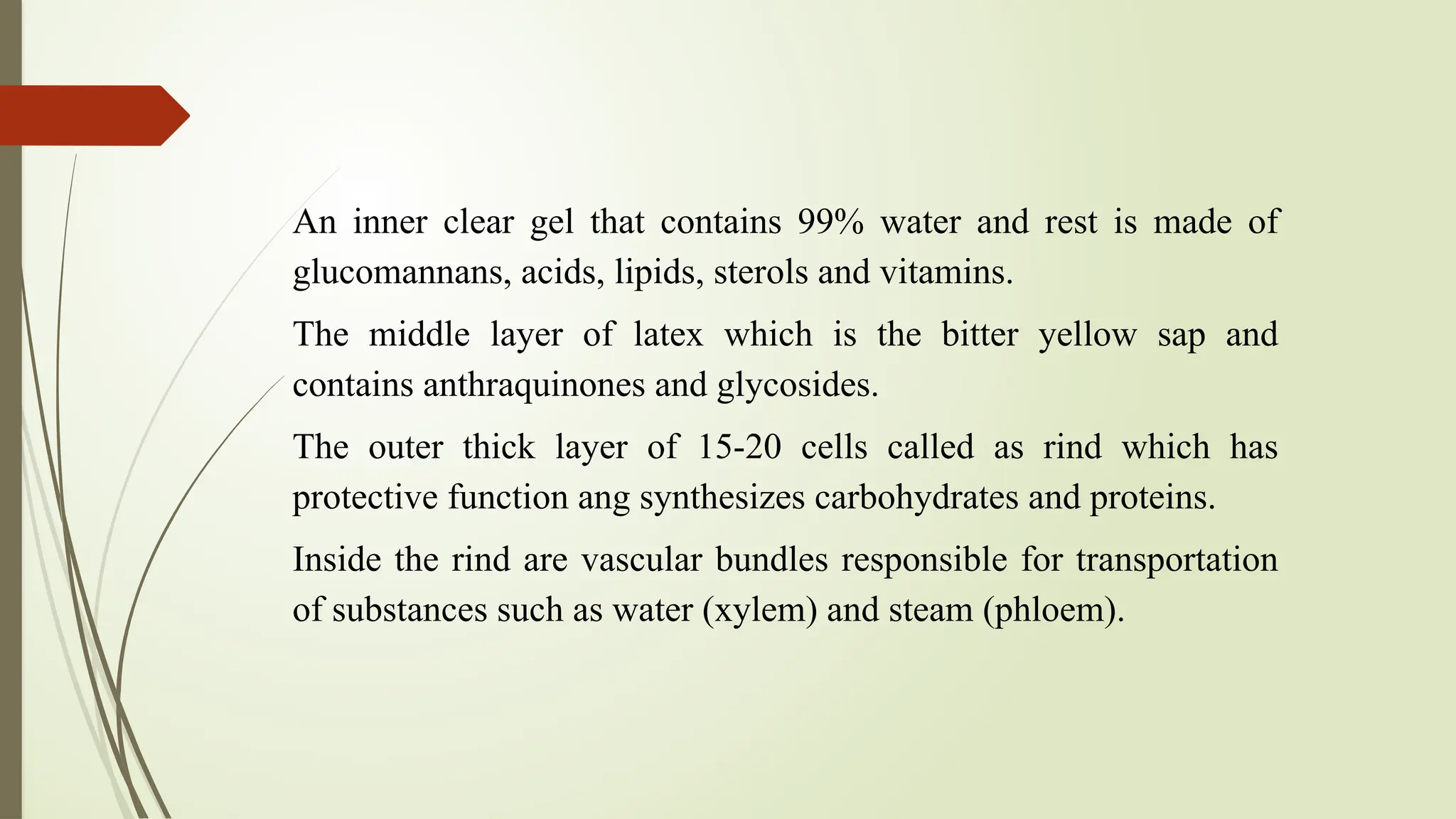 An inner clear gel that contains 99% water and rest is made of
glucomannans, acids, lipids, sterols and vitamins.
The middle layer of latex which is the bitter yellow sap and
contains anthraquinones and glycosides.
The outer thick layer of 15-20 cells called as rind which has
protective function ang synthesizes carbohydrates and proteins.
Inside the rind are vascular bundles responsible for transportation
of substances such as water (xylem) and steam (phloem).
 
