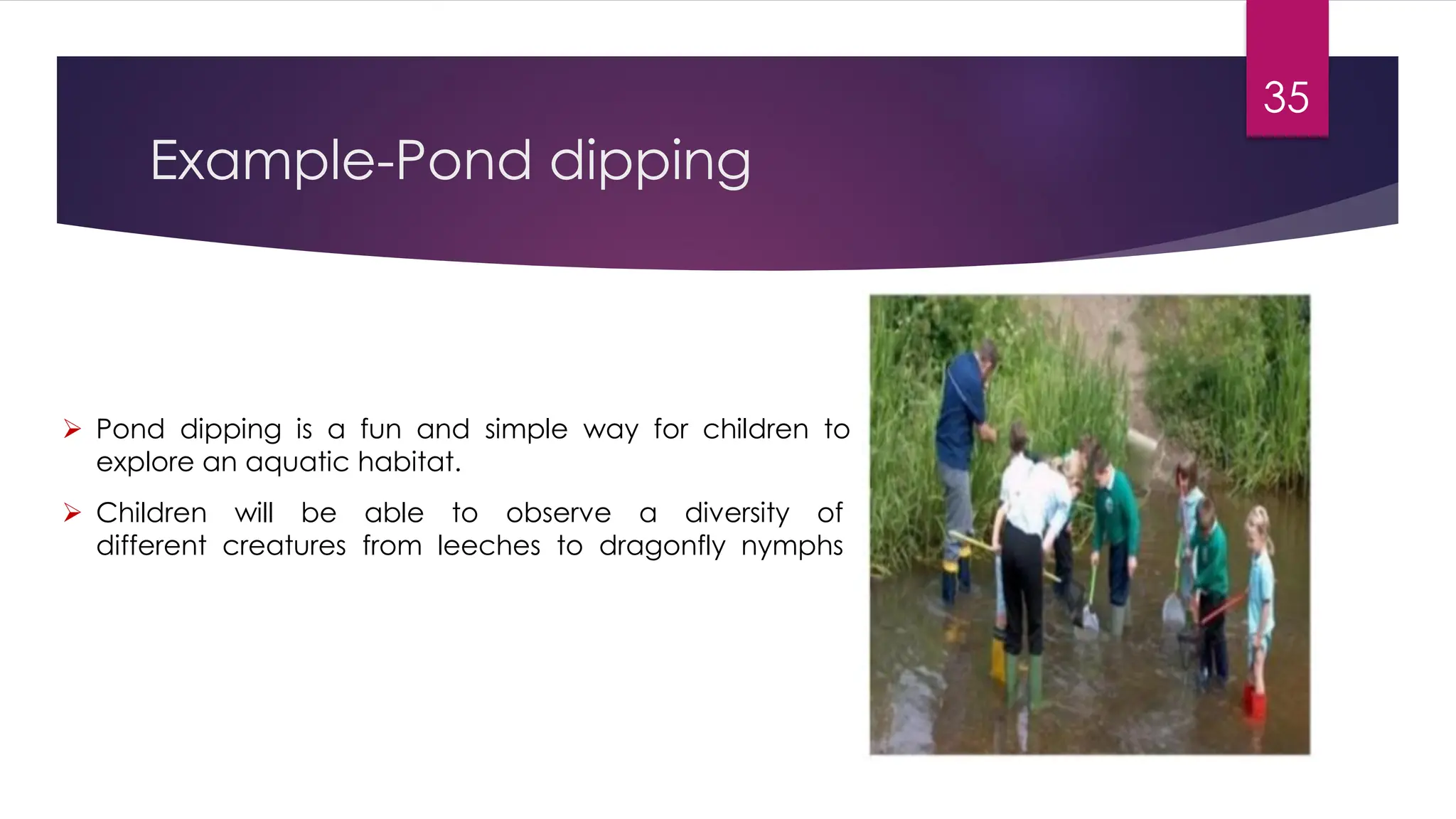 Example-Pond dipping
35
➢ Pond dipping is a fun and simple way for children to
explore an aquatic habitat.
➢ Children will be able to observe a diversity of
different creatures from leeches to dragonfly nymphs
 