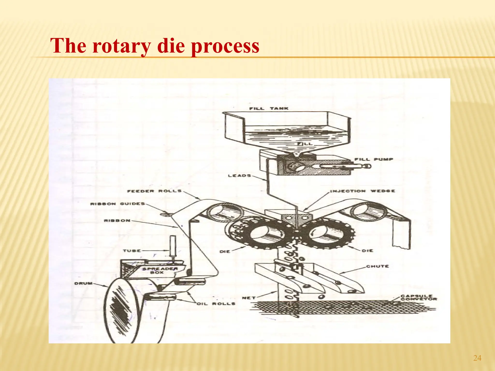 24
The rotary die process
 