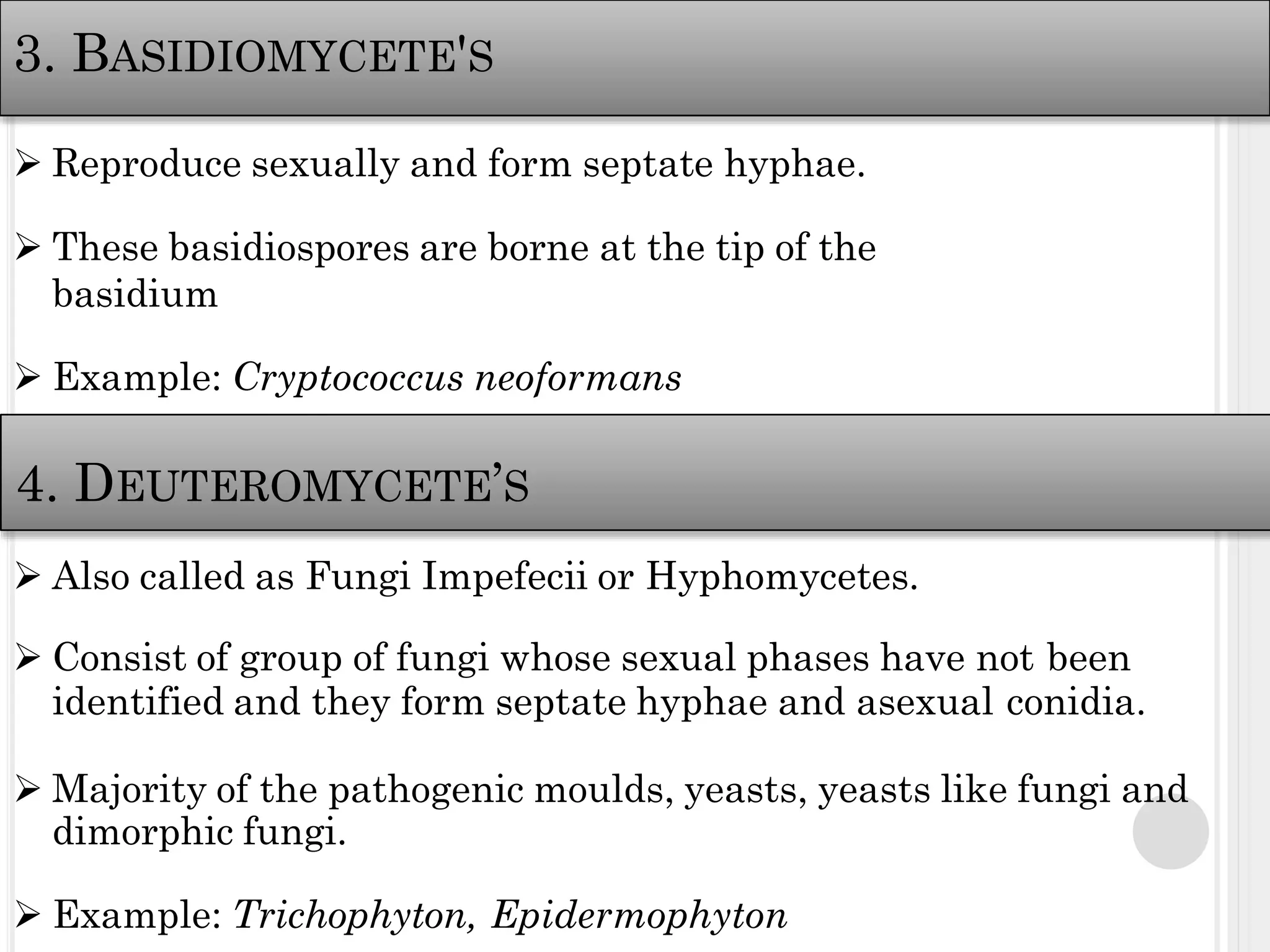 Morphology, Classification, Cultivation and Reproduction of Fungi | PDF