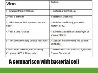 A comparison withbacterialcell
 