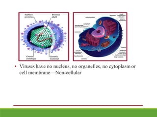 • Viruses have no nucleus, no organelles, no cytoplasm or
cell membrane—Non-cellular
 