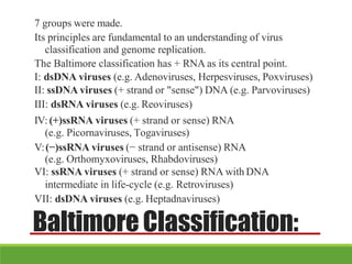 7 groups were made.
Its principles are fundamental to an understanding of virus
classification and genome replication.
The Baltimore classification has + RNA as its central point.
I: dsDNA viruses (e.g. Adenoviruses, Herpesviruses, Poxviruses)
II: ssDNA viruses (+ strand or "sense") DNA (e.g. Parvoviruses)
III: dsRNA viruses (e.g. Reoviruses)
IV:(+)ssRNA viruses (+ strand or sense) RNA
(e.g. Picornaviruses, Togaviruses)
V:(−)ssRNA viruses (− strand or antisense) RNA
(e.g. Orthomyxoviruses, Rhabdoviruses)
VI: ssRNA viruses (+ strand or sense) RNA with DNA
intermediate in life-cycle (e.g. Retroviruses)
VII: dsDNA viruses (e.g. Heptadnaviruses)
BaltimoreClassification:
 