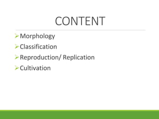 CONTENT
Morphology
Classification
Reproduction/ Replication
Cultivation
 