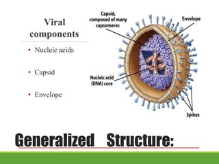 Generalized Structure:
Viral
components
• Nucleic acids
• Capsid
• Envelope
 