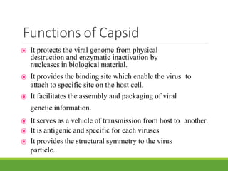 Functions of Capsid
⦿ It protects the viral genome from physical
destruction and enzymatic inactivation by
nucleases in biological material.
⦿ It provides the binding site which enable the virus to
attach to specific site on the host cell.
⦿ It facilitates the assembly and packaging of viral
genetic information.
⦿ It serves as a vehicle of transmission from host to another.
⦿ It is antigenic and specific for each viruses
⦿ It provides the structural symmetry to the virus
particle.
 