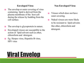 Enveloped Virus
⦿ The envelop or outer covering of virus
containing lipid is derived from the
plasma membrane of the host cell
during the release by budding from the
cell surface.
⦿ The envelop is glycoprotein in nature.
⦿ Enveloped viruses are susceptible to the
action of lipid solvent such as ether,
chloroform and detergent.
⦿ Eg. Herpes virus, Hepatitis B virus,
HIV virus
Non Enveloped Virus
⦿ Viruses which does not have
outer covering.
⦿ Naked viruses are more likely
to be resistant to lipid solvents
like ether, chloroform and
detergent.
Viral Envelop
 