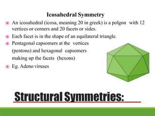 StructuralSymmetries:
Icosahedral Symmetry
⦿ An icosahedral (icosa, meaning 20 in greek) is a polgon with 12
vertices or corners and 20 facets or sides.
⦿ Each facet is in the shape of an equilateral triangle.
⦿ Pentagonal capsomers at the vertices
(pentons) and hexagonal capsomers
making up the facets (hexons)
⦿ Eg. Adeno viruses
 