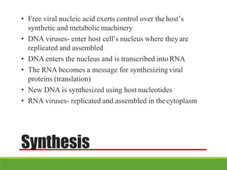 Synthesis
• Free viral nucleic acid exerts control over the host’s
synthetic and metabolic machinery
• DNA viruses- enter host cell’s nucleus where theyare
replicated and assembled
• DNA enters the nucleus and is transcribed intoRNA
• The RNA becomes a message for synthesizing viral
proteins (translation)
• New DNA is synthesized using host nucleotides
• RNA viruses- replicated and assembled in thecytoplasm
 