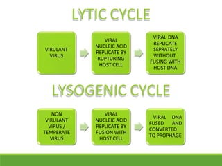 VIRULANT
VIRUS
VIRAL
NUCLEIC ACID
REPLICATE BY
RUPTURING
HOST CELL
VIRAL DNA
REPLICATE
SEPRATELY
WITHOUT
FUSING WITH
HOST DNA
NON
VIRULANT
VIRUS /
TEMPERATE
VIRUS
VIRAL
NUCLEIC ACID
REPLICATE BY
FUSION WITH
HOST CELL
VIRAL DNA
FUSED AND
CONVERTED
TO PROPHAGE
LYTIC CYCLE
LYSOGENIC CYCLE
 