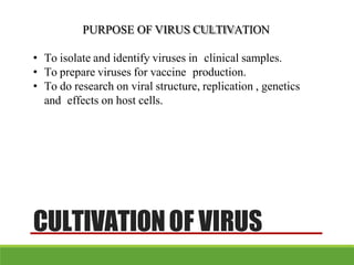 CULTIVATIONOF VIRUS
PURPOSE OF VIRUS CULTIVATION
• To isolate and identify viruses in clinical samples.
• To prepare viruses for vaccine production.
• To do research on viral structure, replication , genetics
and effects on host cells.
 