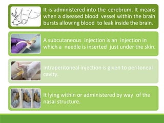 It is administered into the cerebrum. It means
when a diseased blood vessel within the brain
bursts allowing blood to leak inside the brain.
A subcutaneous injection is an injection in
which a needle is inserted just under the skin.
Intraperitoneal injection is given to peritoneal
cavity.
It lying within or administered by way of the
nasal structure.
 