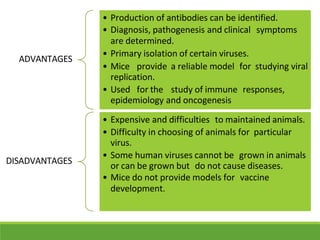 ADVANTAGES
• Production of antibodies can be identified.
• Diagnosis, pathogenesis and clinical symptoms
are determined.
• Primary isolation of certain viruses.
• Mice provide a reliable model for studying viral
replication.
• Used for the study of immune responses,
epidemiology and oncogenesis
DISADVANTAGES
• Expensive and difficulties to maintained animals.
• Difficulty in choosing of animals for particular
virus.
• Some human viruses cannot be grown in animals
or can be grown but do not cause diseases.
• Mice do not provide models for vaccine
development.
 