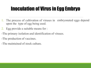 Inoculation of Virus in Egg Embryo
1. The process of cultivation of viruses in
upon the type of egg being used.
2. Egg provide a suitable means for :
embryonated eggs depend
-The primary isolation and identification of viruses.
-The production of vaccines.
-The maintained of stock culture.
 