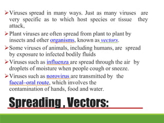 Viruses spread in many ways. Just as many viruses are
they
very specific as to which host species or tissue
attack,
Plant viruses are often spread from plant to plant by
insects and other organisms, known as vectors.
Some viruses of animals, including humans, are spread
by exposure to infected bodily fluids
Viruses such as influenza are spread through the air by
droplets of moisture when people cough or sneeze.
Viruses such as norovirus are transmitted by the
faecal–oral route, which involves the
contamination of hands, food and water.
Spreading , Vectors:
 