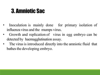 3.AmnioticSac
• Inoculation is mainly done for primary isolation of
influenzavirus and the mumps virus.
• Growth and replication of virus in egg embryo can be
detected by haemagglutination assay.
• The virus is introduced directly into the amniotic fluid that
bathes the developing embryo.
 
