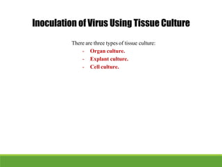 Inoculation of Virus Using Tissue Culture
There are three types of tissue culture:
- Organ culture.
- Explant culture.
- Cell culture.
 