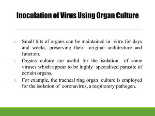 1. Small bits of organs can be maintained in vitro for days
and weeks, preserving their original architecture and
function.
2. Organs culture are useful for the isolation of some
viruses which appear to be highly specialised parasite of
certain organs.
3. For example, the tracheal ring organ culture is employed
for the isolation of coronavirus, a respiratory pathogen.
Inoculation of VirusUsing OrganCulture
 