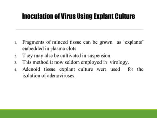 1. Fragments of minced tissue can be grown
embedded in plasma clots.
2. They may also be cultivated in suspension.
as ‘explants’
3. This method is now seldom employed in virology.
4. Adenoid tissue explant culture were used for the
isolation of adenoviruses.
Inoculation of Virus Using Explant Culture
 