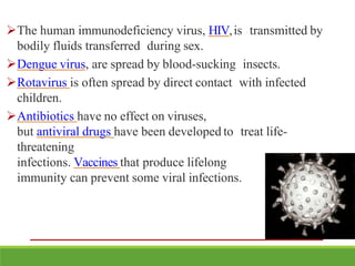 The human immunodeficiency virus, HIV,is transmitted by
bodily fluids transferred during sex.
Dengue virus, are spread by blood-sucking insects.
Rotavirus is often spread by direct contact with infected
children.
Antibiotics have no effect on viruses,
but antiviral drugs have been developed to treat life-
threatening
infections. Vaccines that produce lifelong
immunity can prevent some viral infections.
 