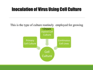Inoculation of VirusUsing Cell Culture
Cell
Culture
Primary
Cell Culture
This is the type of culture routinely employed for growing
viruses
Diploid Cell
Culture
Continuous
Cell Lines
 