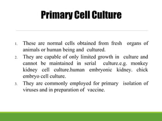 1. These are normal cells obtained from fresh
animals or human being and cultured.
2. They are capable of only limited growth in
organs of
culture and
cannot be maintained in serial culture.e.g. monkey
kidney cell culture.human embryonic kidney. chick
embryo cell culture.
3. They are commonly employed for primary
viruses and in preparation of vaccine.
isolation of
PrimaryCell Culture
 