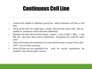 1. Animal cells capable of indefinite growth are called continuous cell lines or cell
lines.
2. These are the cells of a single type , usually derived from cancer cells , that are
capable of continuous serial cultivation indefinitely.
3. Standard cell lines derived from human cancers , such as HeLa , HEp – 2 and
KB cell lines have been used in laboratories throughout the world for many
years.
4. These cell linesmay be maintained by serial subcultivation or stored in the cold (
5. -70⁰C ) for use when necessary.
6. Some cell lines are now permitted to be used for vaccine manufacture, for
example: Vero cells for rabies vaccine.
ContinuousCellLine
 