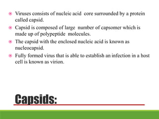 Capsids:
 Viruses consists of nucleic acid core surrounded by a protein
called capsid.
 Capsid is composed of large number of capsomer which is
made up of polypeptide molecules.
 The capsid with the enclosed nucleic acid is known as
nucleocapsid.
 Fully formed virus that is able to establish an infection in a host
cell is known as virion.
 