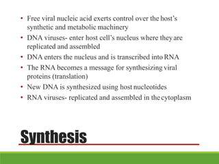 Synthesis
• Free viral nucleic acid exerts control over the host’s
synthetic and metabolic machinery
• DNA viruses- enter host cell’s nucleus where theyare
replicated and assembled
• DNA enters the nucleus and is transcribed into RNA
• The RNA becomes a message for synthesizing viral
proteins (translation)
• New DNA is synthesized using host nucleotides
• RNA viruses- replicated and assembled in thecytoplasm
 