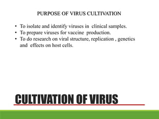 CULTIVATION OF VIRUS
PURPOSE OF VIRUS CULTIVATION
• To isolate and identify viruses in clinical samples.
• To prepare viruses for vaccine production.
• To do research on viral structure, replication , genetics
and effects on host cells.
 
