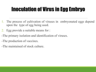 Inoculation of Virus in Egg Embryo
1. The process of cultivation of viruses in embryonated eggs depend
upon the type of egg being used.
2. Egg provide a suitable means for :
-The primary isolation and identification of viruses.
-The production of vaccines.
-The maintained of stock culture.
 