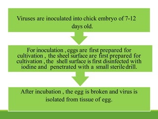 After incubation , the egg is broken and virus is
isolated from tissue of egg.
For inoculation , eggs are first prepared for
cultivation , the sheel surface are first prepared for
cultivation , the shell surface is first disinfected with
iodine and penetrated with a small steriledrill.
Viruses are inoculated into chick embryo of 7-12
days old.
 