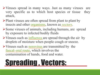 Viruses spread in many ways. Just as many viruses are
very specific as to which host species or tissue they
attack,
Plant viruses are often spread from plant to plant by
insects and other organisms, known as vectors.
Some viruses of animals, including humans, are spread
by exposure to infected bodily fluids
Viruses such as influenza are spread through the air by
droplets of moisture when people cough or sneeze.
Viruses such as norovirus are transmitted by the
faecal–oral route, which involves the
contamination of hands, food and water.
Spreading , Vectors:
 