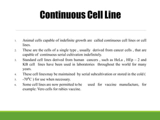 1. Animal cells capable of indefinite growth are called continuous cell lines or cell
lines.
2. These are the cells of a single type , usually derived from cancer cells , that are
capable of continuous serial cultivation indefinitely.
3. Standard cell lines derived from human cancers , such as HeLa , HEp – 2 and
KB cell lines have been used in laboratories throughout the world for many
years.
4. These cell linesmay be maintained by serial subcultivation or stored in the cold (
5. -70⁰C ) for use when necessary.
6. Some cell lines are now permitted to be used for vaccine manufacture, for
example: Vero cells for rabies vaccine.
Continuous Cell Line
 