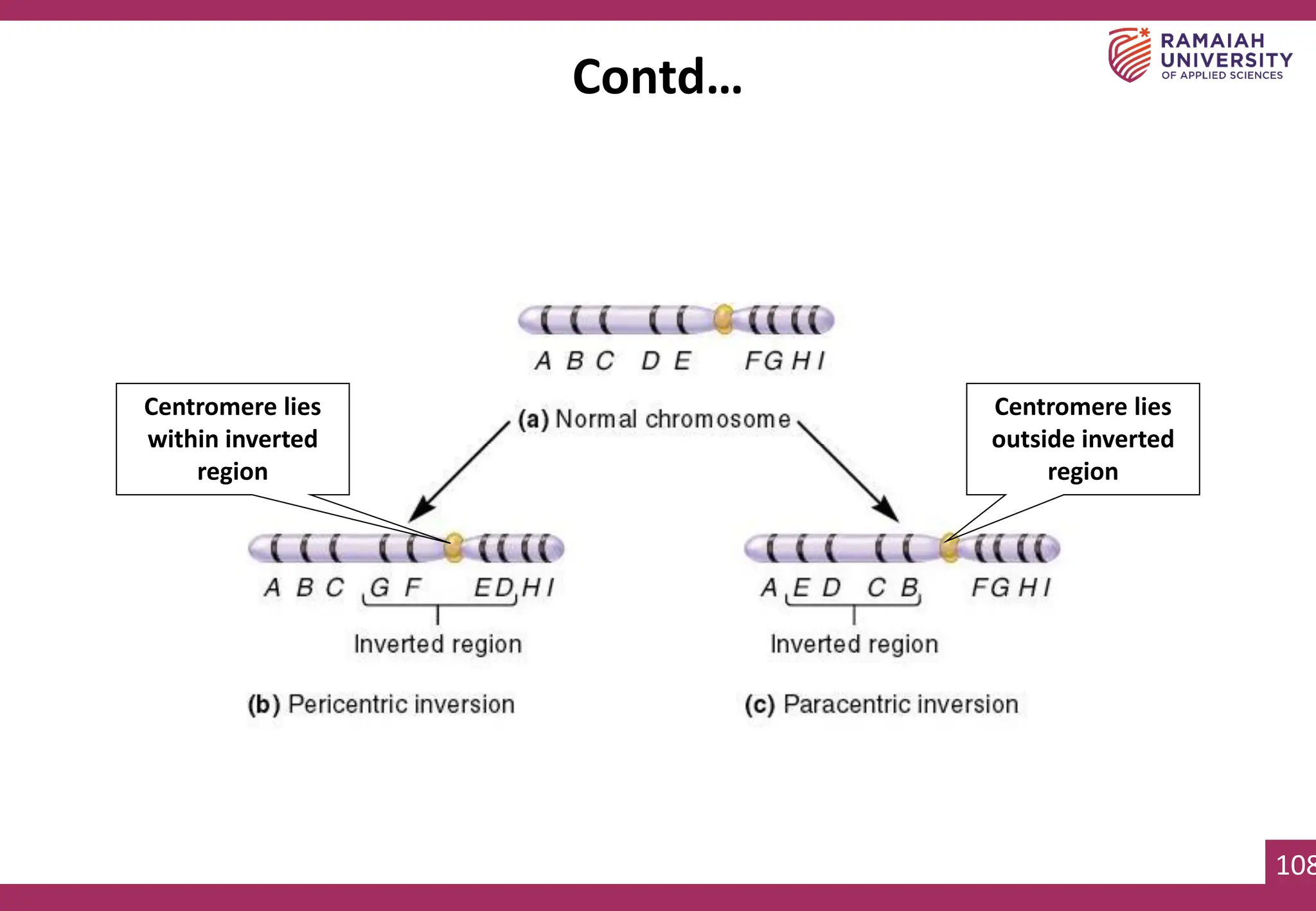 108
Centromere lies
within inverted
region
Centromere lies
outside inverted
region
Contd…
 