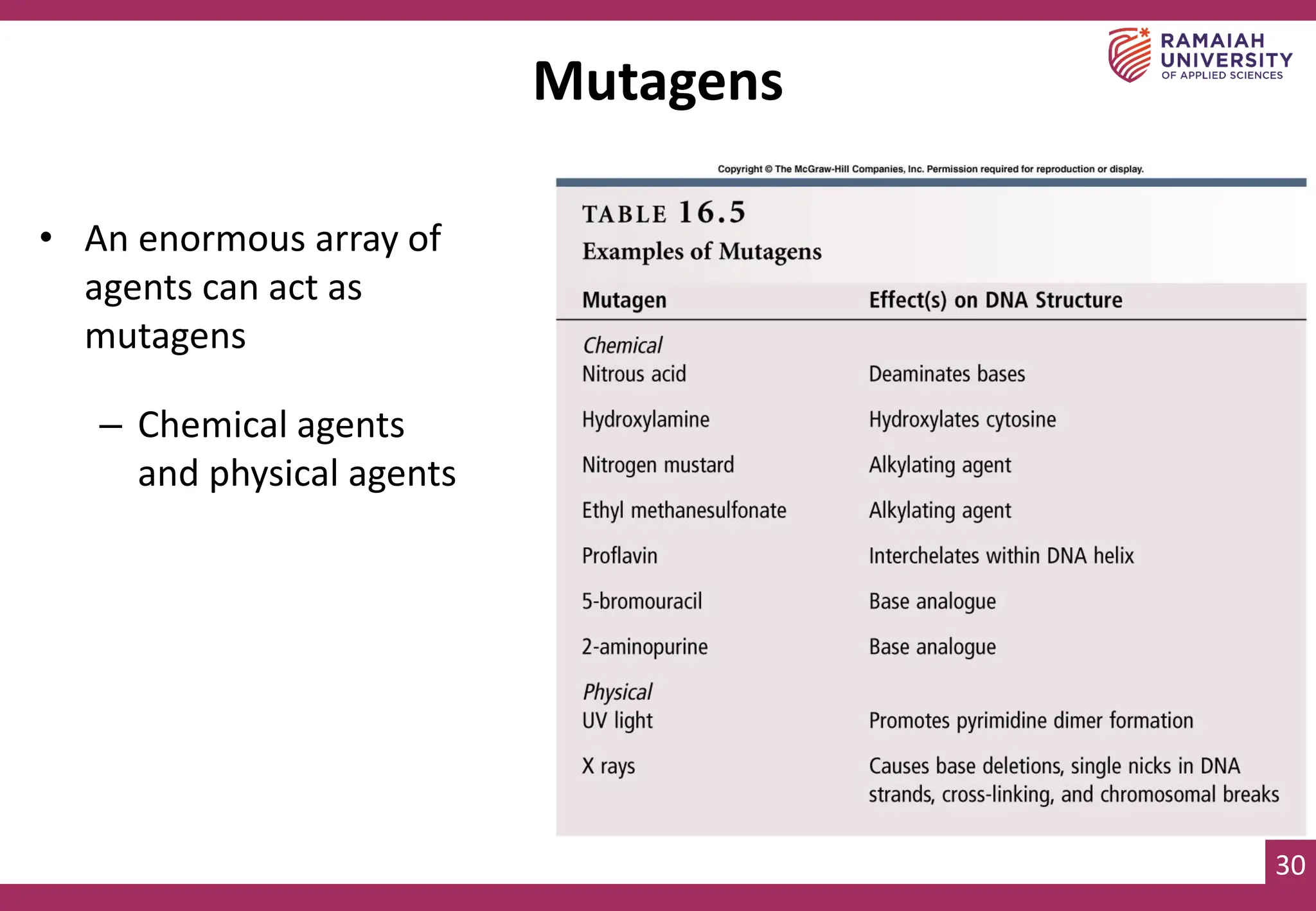 30
Mutagens
• An enormous array of
agents can act as
mutagens
– Chemical agents
and physical agents
 
