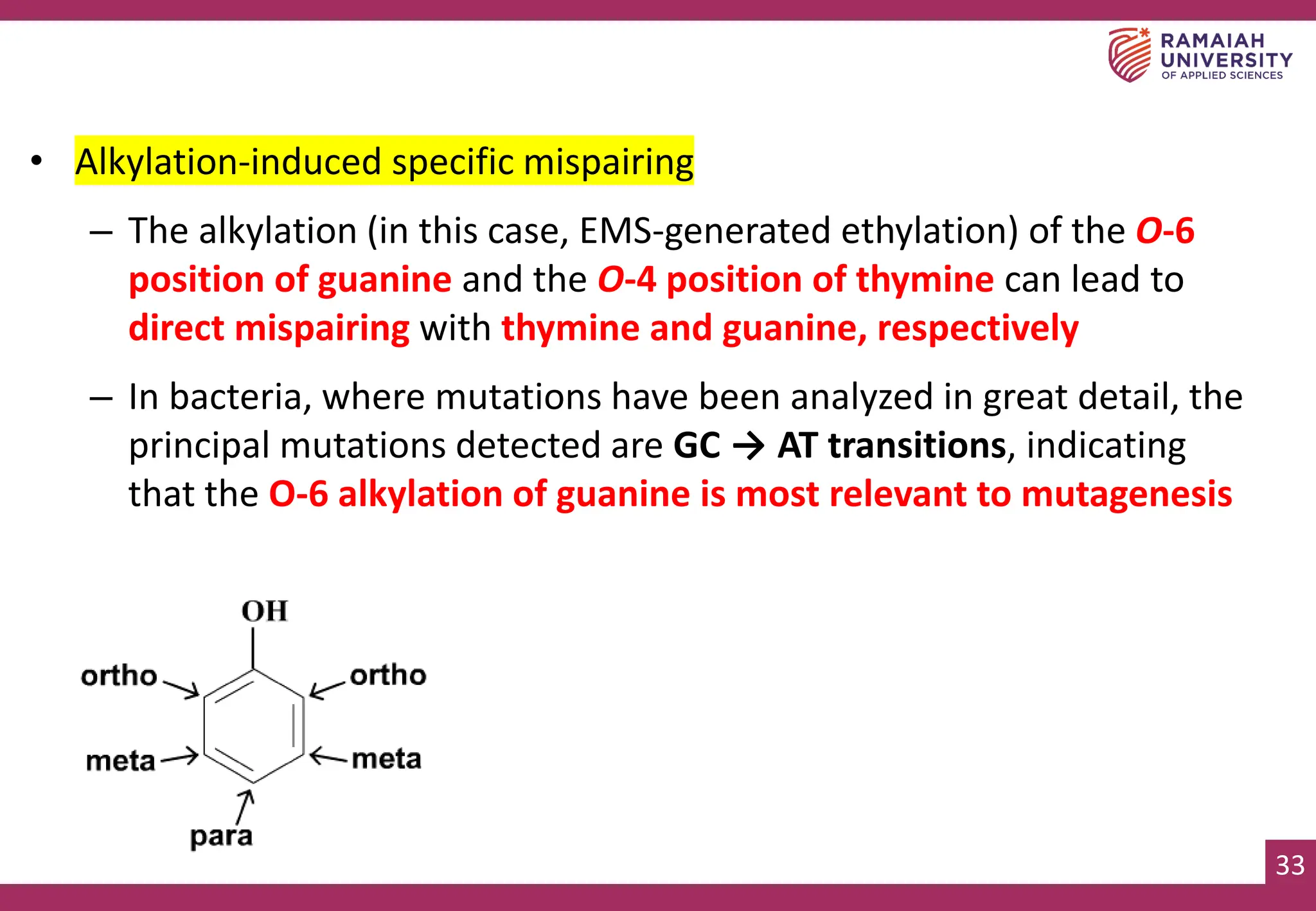 33
• Alkylation-induced specific mispairing
– The alkylation (in this case, EMS-generated ethylation) of the O-6
position of guanine and the O-4 position of thymine can lead to
direct mispairing with thymine and guanine, respectively
– In bacteria, where mutations have been analyzed in great detail, the
principal mutations detected are GC → AT transitions, indicating
that the O-6 alkylation of guanine is most relevant to mutagenesis
 
