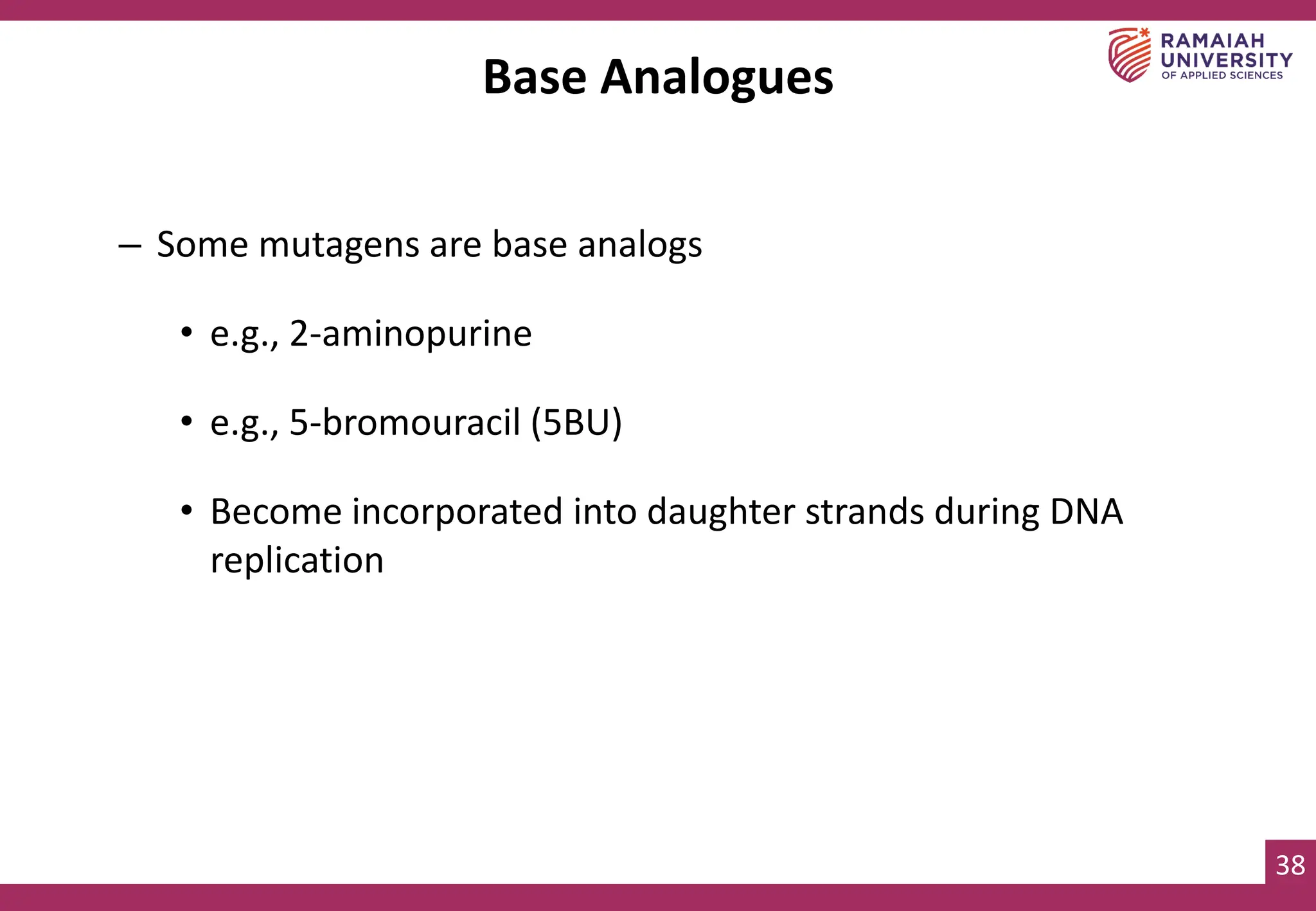 38
Base Analogues
– Some mutagens are base analogs
• e.g., 2-aminopurine
• e.g., 5-bromouracil (5BU)
• Become incorporated into daughter strands during DNA
replication
 