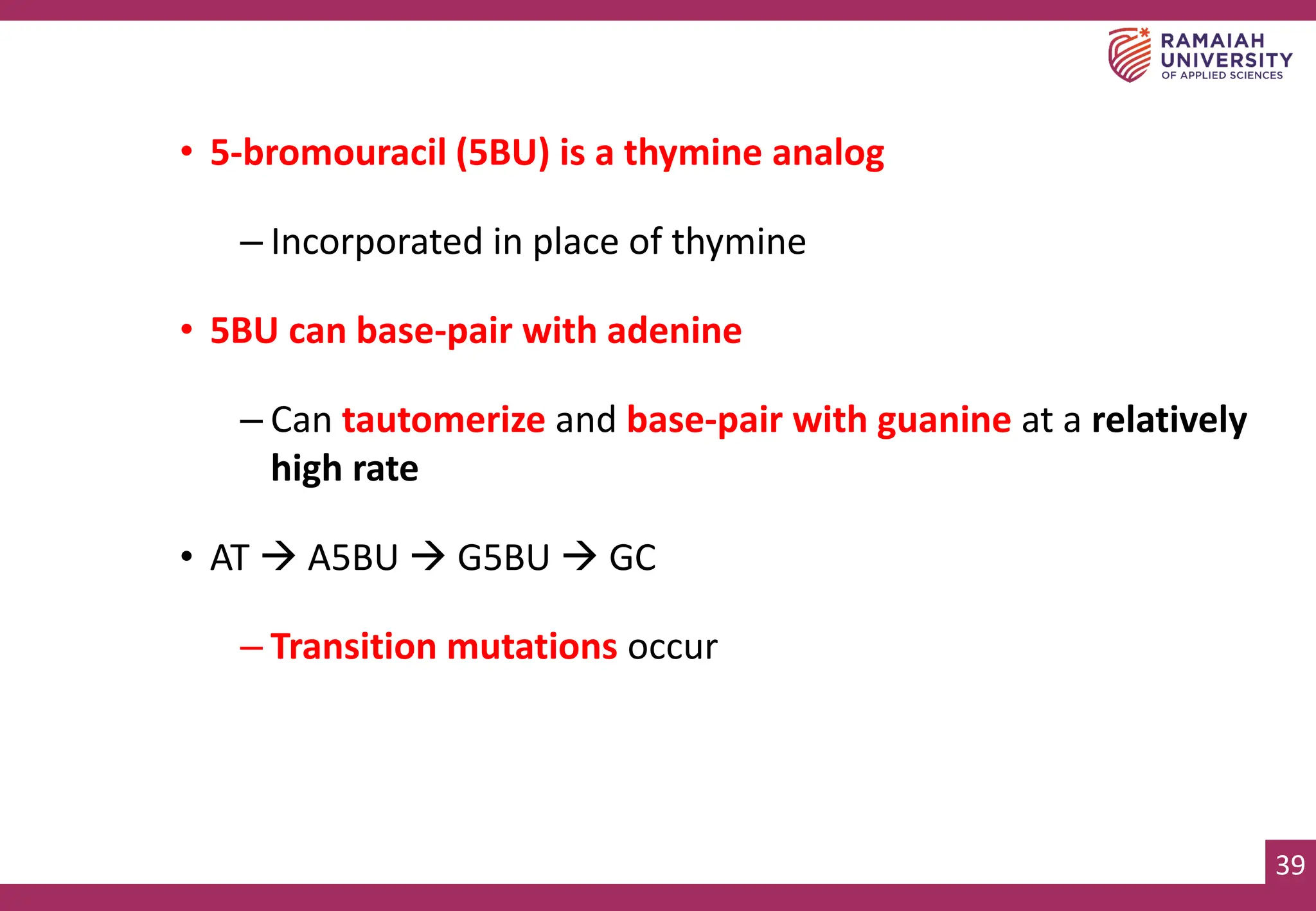 39
• 5-bromouracil (5BU) is a thymine analog
– Incorporated in place of thymine
• 5BU can base-pair with adenine
– Can tautomerize and base-pair with guanine at a relatively
high rate
• AT → A5BU → G5BU → GC
– Transition mutations occur
 