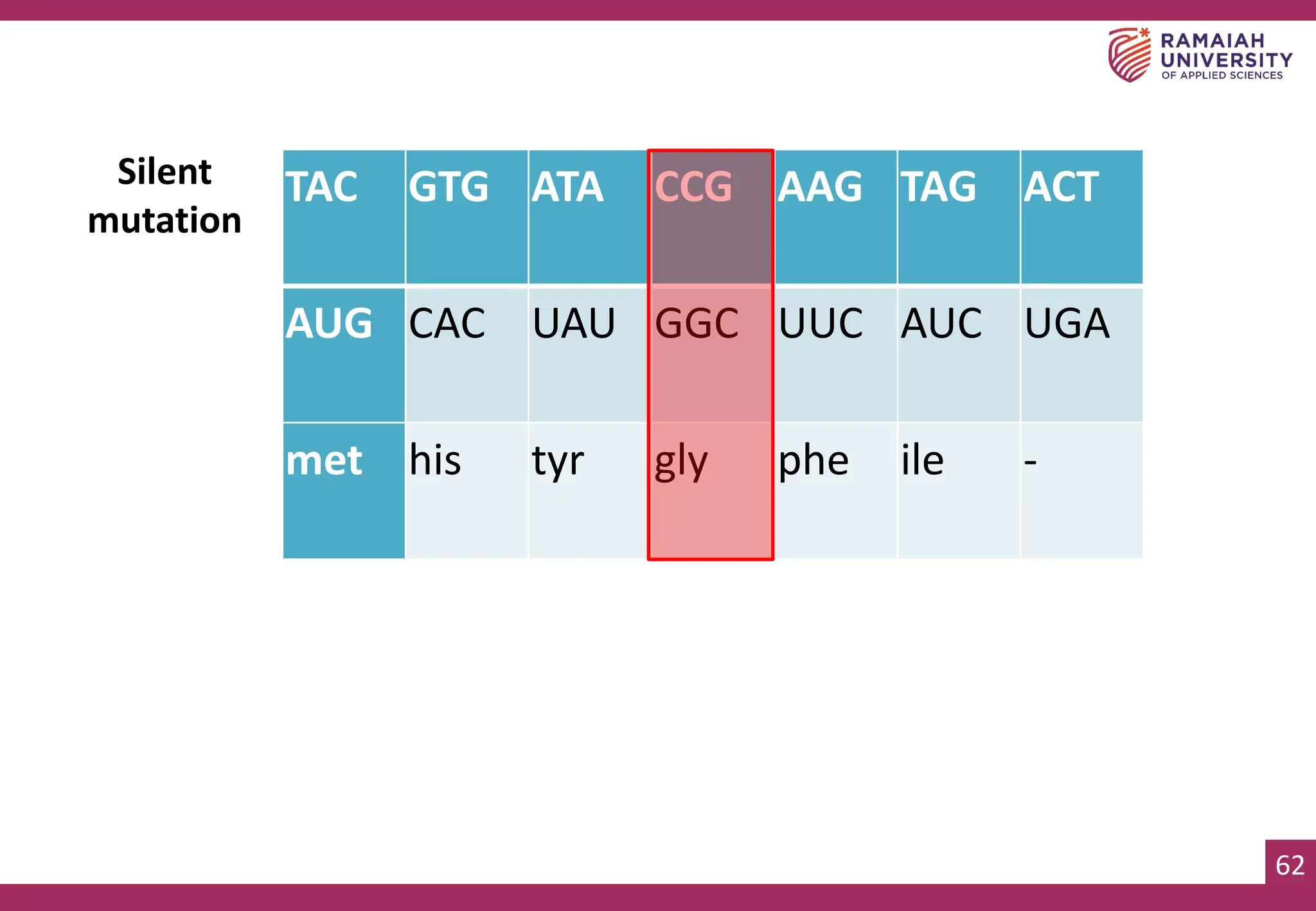 62
Silent
mutation
TAC GTG ATA CCG AAG TAG ACT
AUG CAC UAU GGC UUC AUC UGA
met his tyr gly phe ile -
 